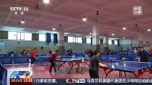 室内健身鸟